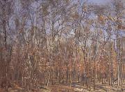 The Beech Forest (nn02), Ferdinand Hodler